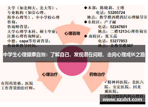 中学生心理健康自测：了解自己，发现潜在问题，走向心理成长之路