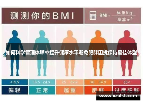 如何科学管理体脂率提升健康水平避免肥胖困扰保持最佳体型